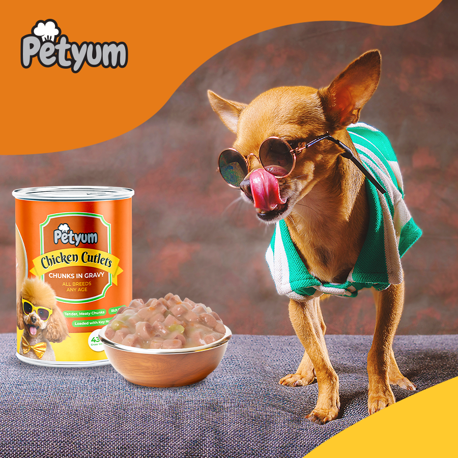 PetYum Chunks Adult Dog Puppy Wet Food Can Beef Chicken Lamb in Gravy ...