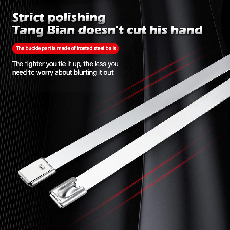 100Pcs Stainless Steel Cable Ties Self-locking Fastening Rings 4.6mm ...