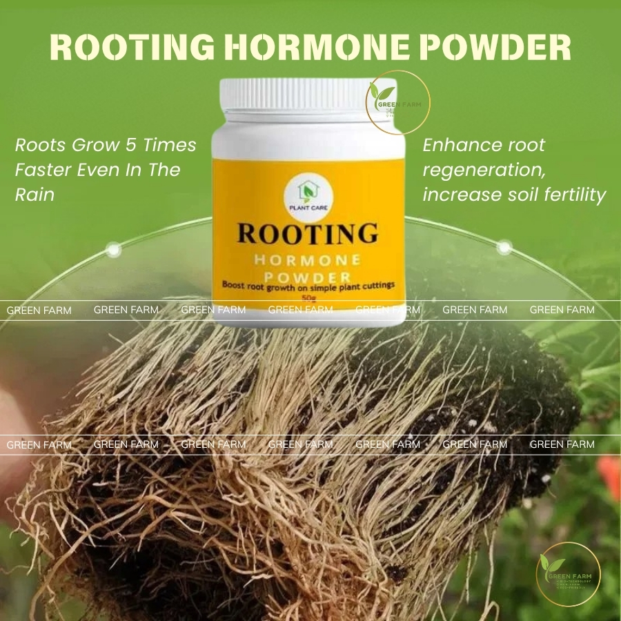 [NEW] Special Rooting Hormone Powder 50G - Stimulates Roots, Rooting ...