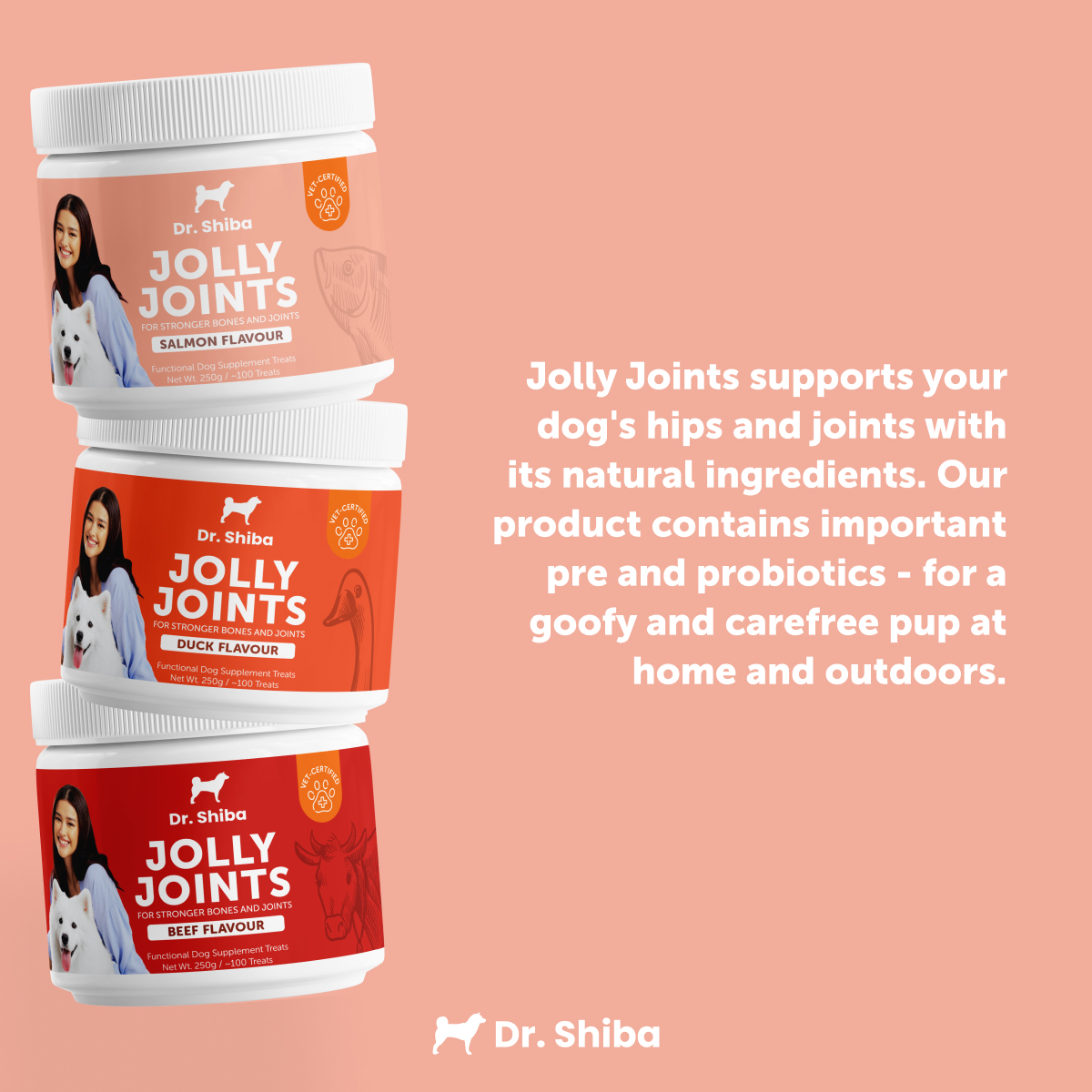Visual Reference: Dr Shiba Jolly Joints Healthy Dog Treats Snacks Dog Multivitamins