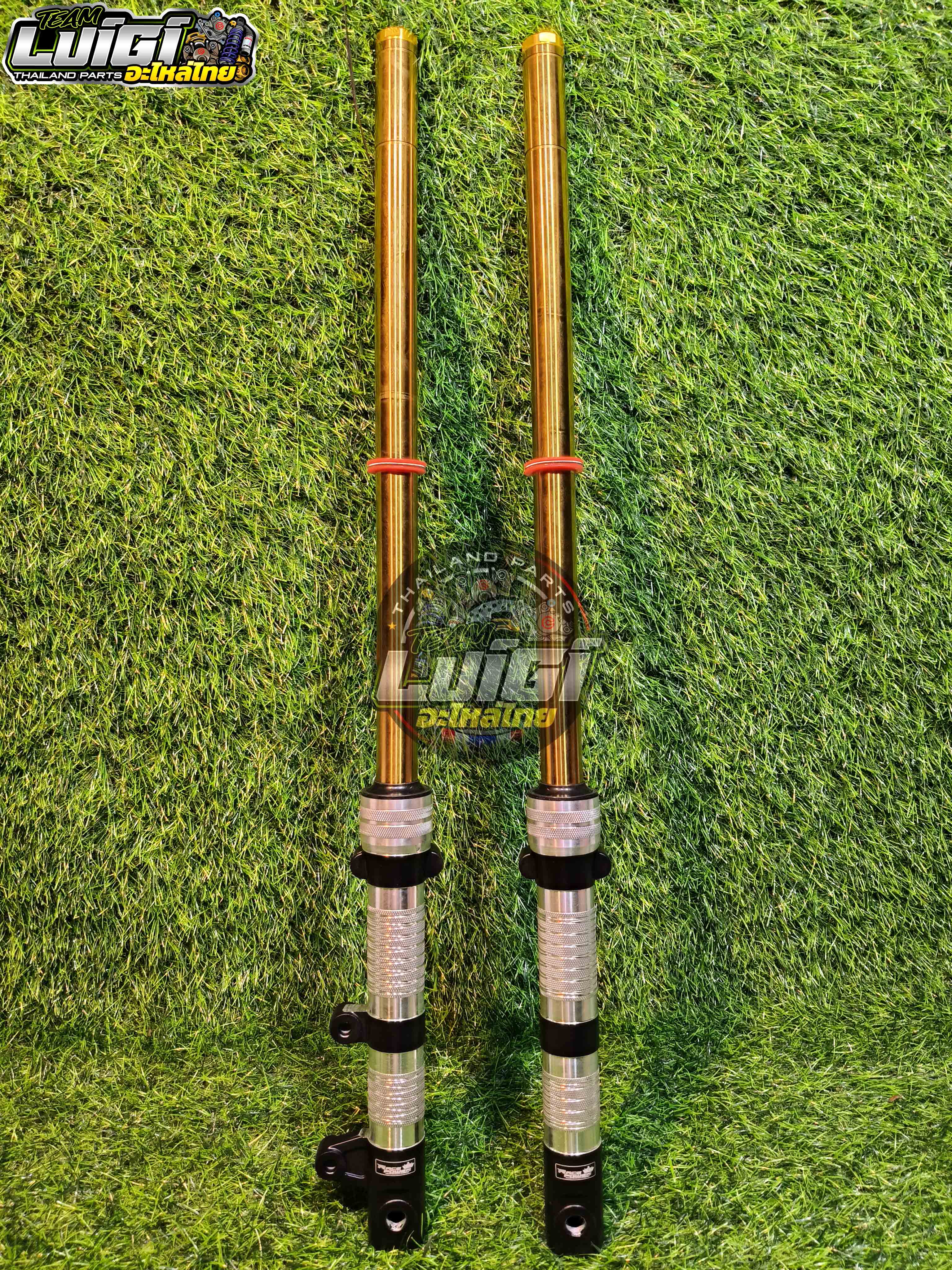 RACE POWER CNC LIGHTEN FRONT SHOCK ASSEMBLY ADJUSTABLE PREMIUM HONDA ...
