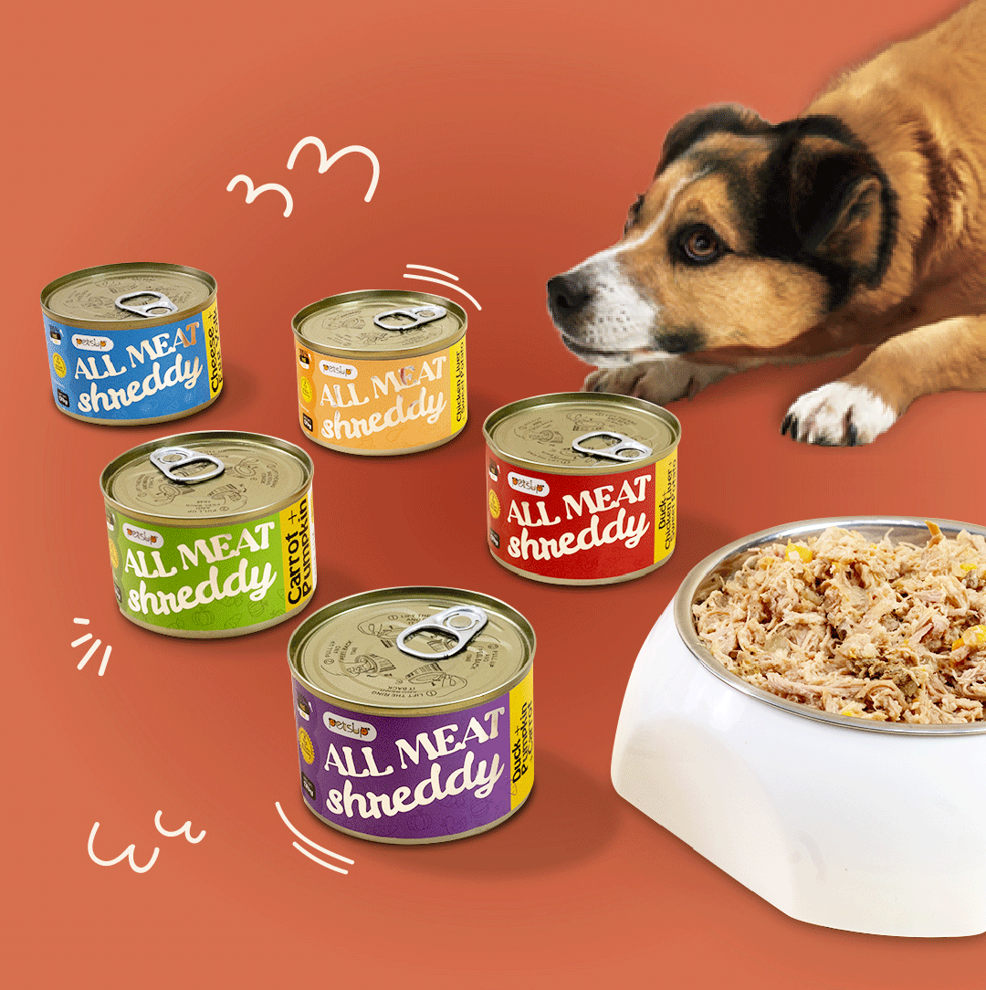 Petsup Bundle Dog Wet Food All Meat Shreddy 6 Cans Real Meat Chicken ...