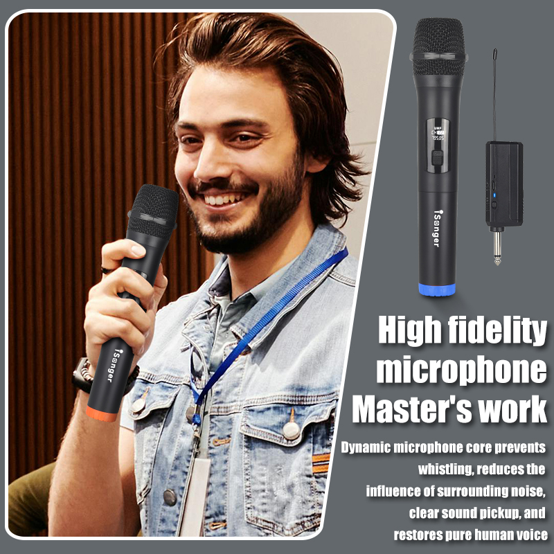 Wireless Dual Handheld Microphone System,UHF Professional Karaoke for ...