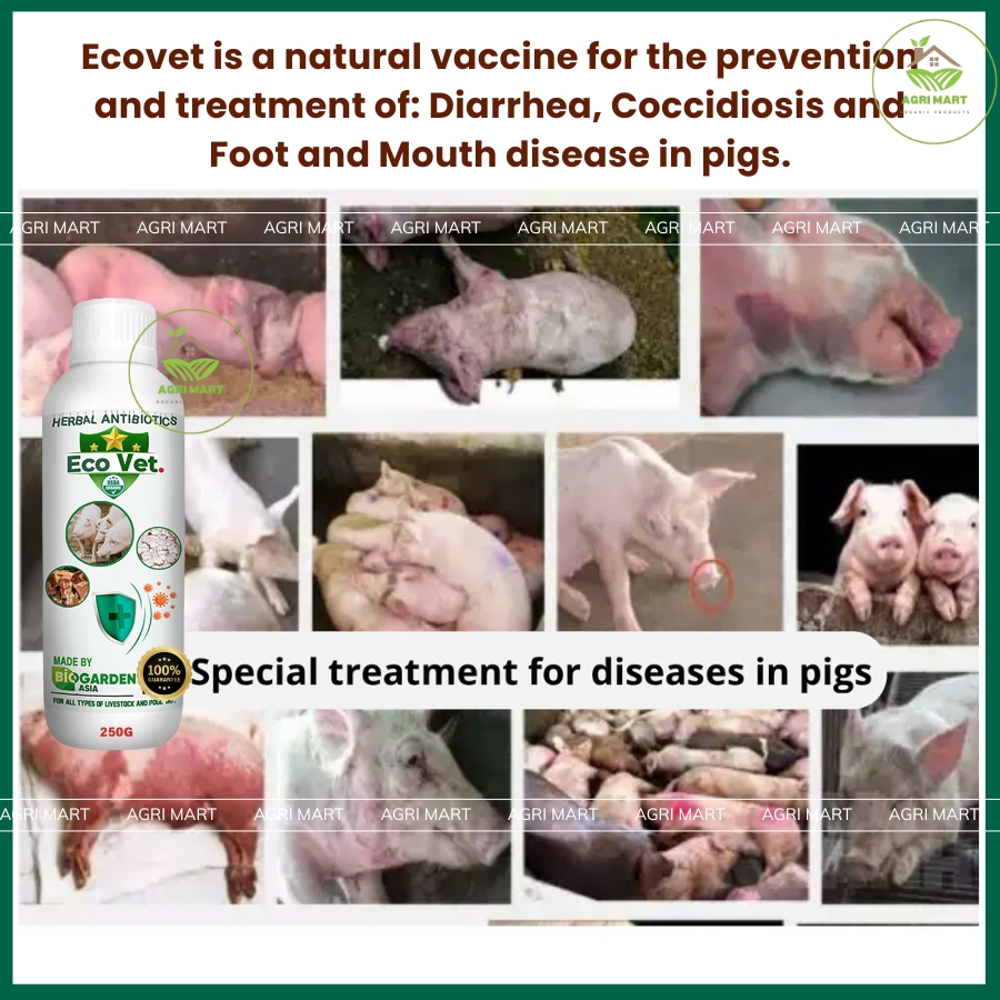 ECOVET 250G Pulbos na Suplemento ng Probiotic, Mahalagang Nutrisyon ...