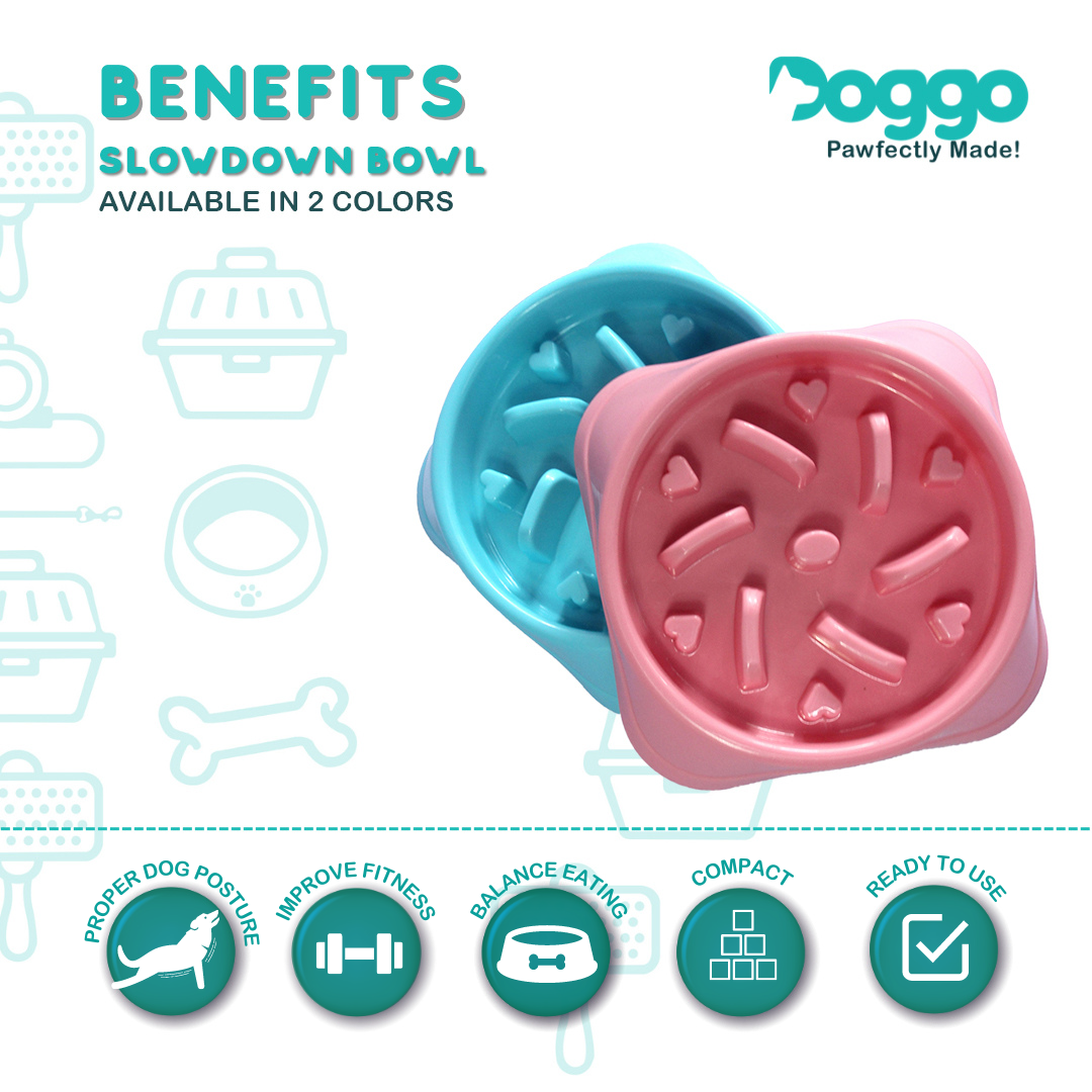 Doggo Slow-Down Bowl | Shopee Philippines