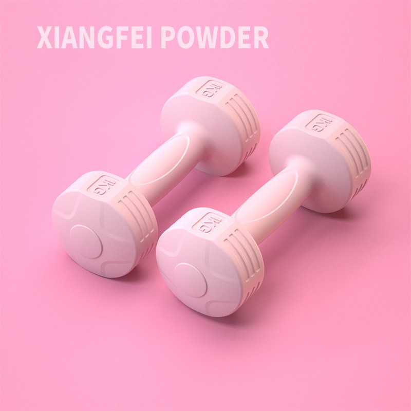 2PCS Dumbbell Set For Women 0.5KG/1KG/2KG Home Dumbell/Kettlebell ...