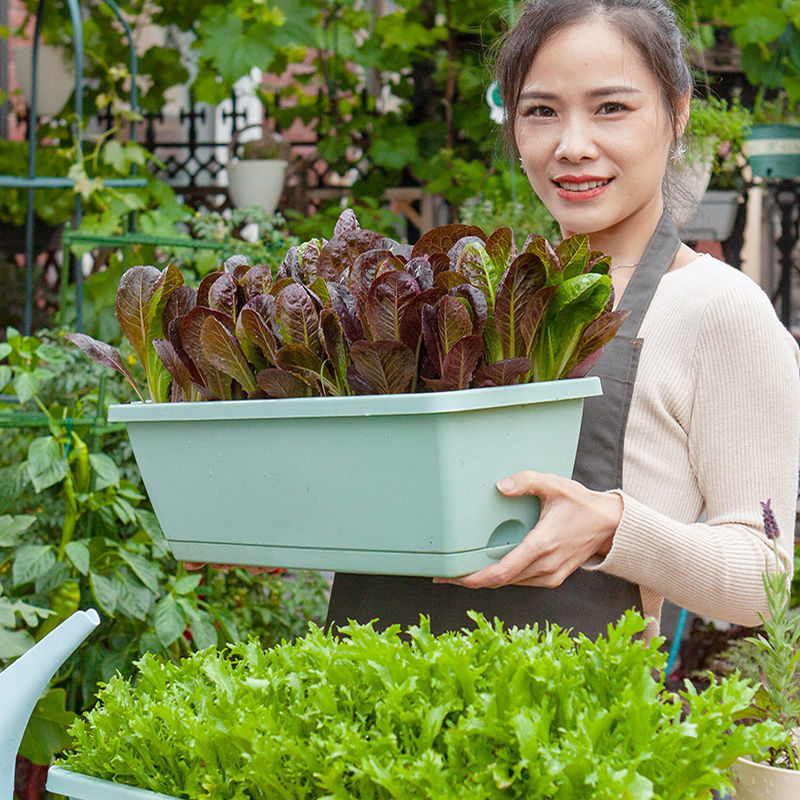 Rectangular Planting Boxes Planting Flower Pots Rectangular Layers ...