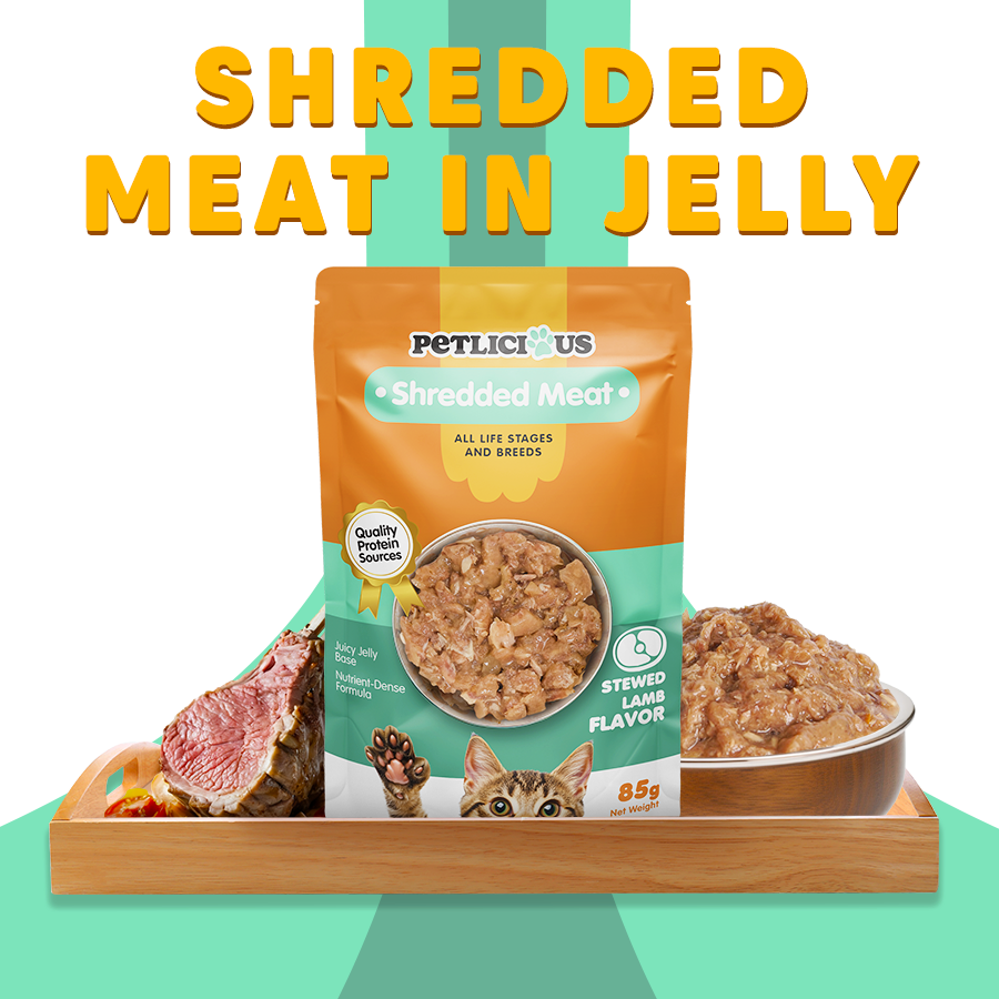 Petlicious Meat Jelly Adult Cat Kitten Wet Food Pouch Chicken Salmon ...