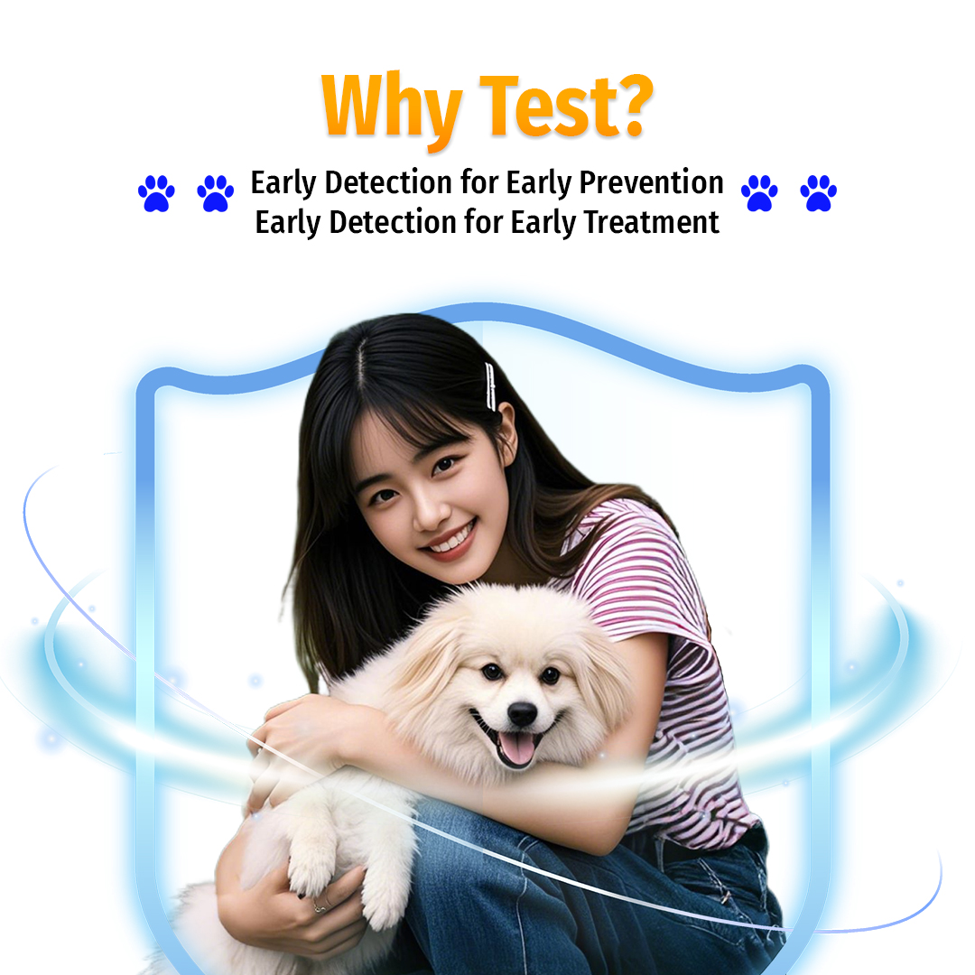 Cassiel Pet Test Kit RBV Test Paper Rabies Virus Rapid Test For RABIES ...