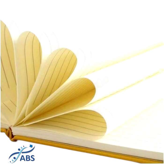 [A5 Size] Stationery 25K Moleskin Rubber Diary Strap Notebook w/ String ...