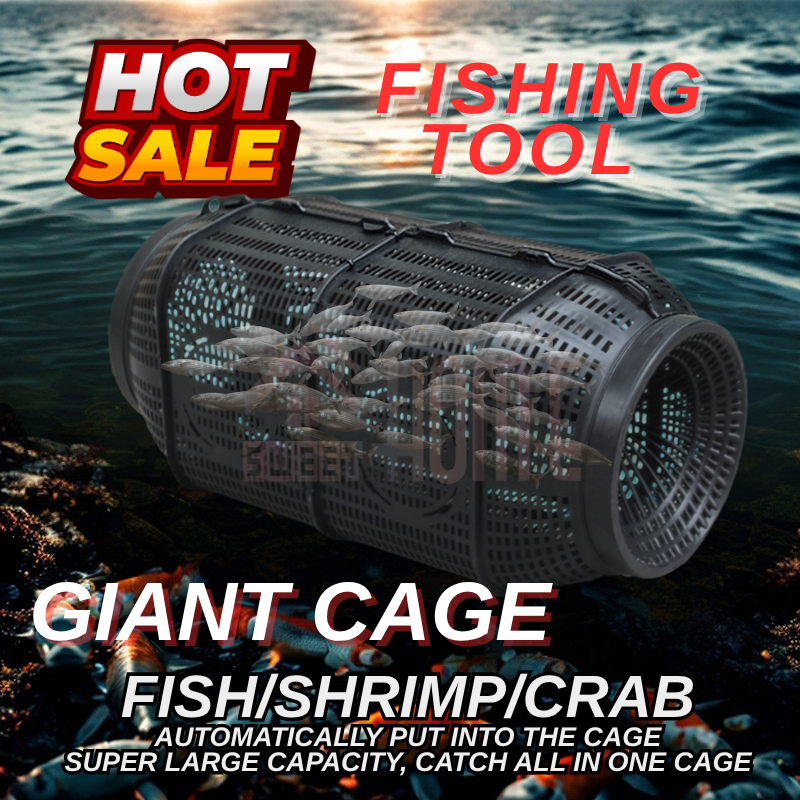 Fishnet Eel Loach Trap Fishing Cage Fishnet Automatic Eel Cage Plastic ...