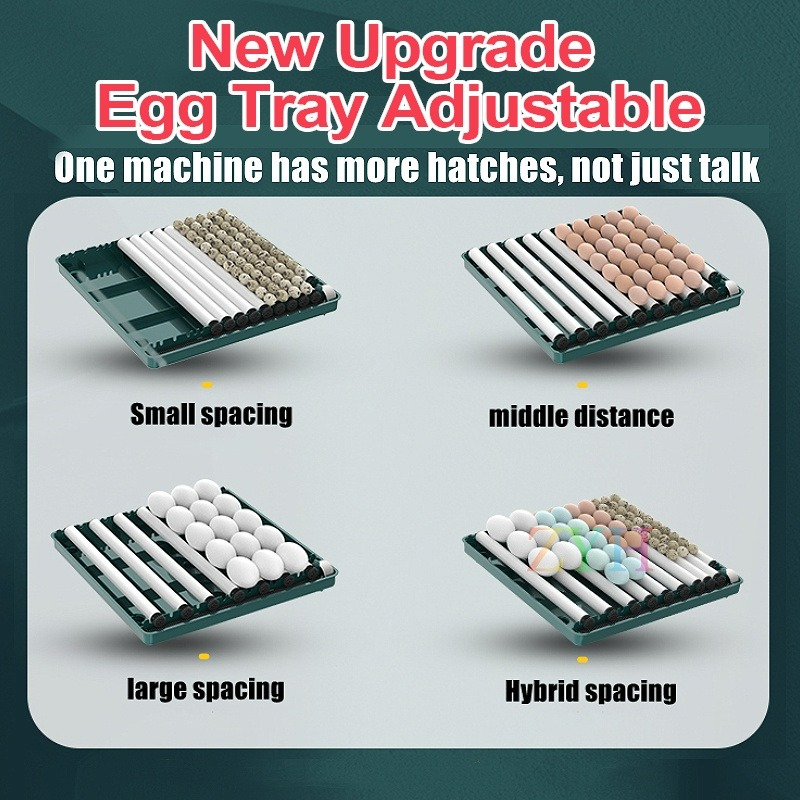 220V/12V Egg Incubator Fully Automatic Egg Incubator Intelligent ...