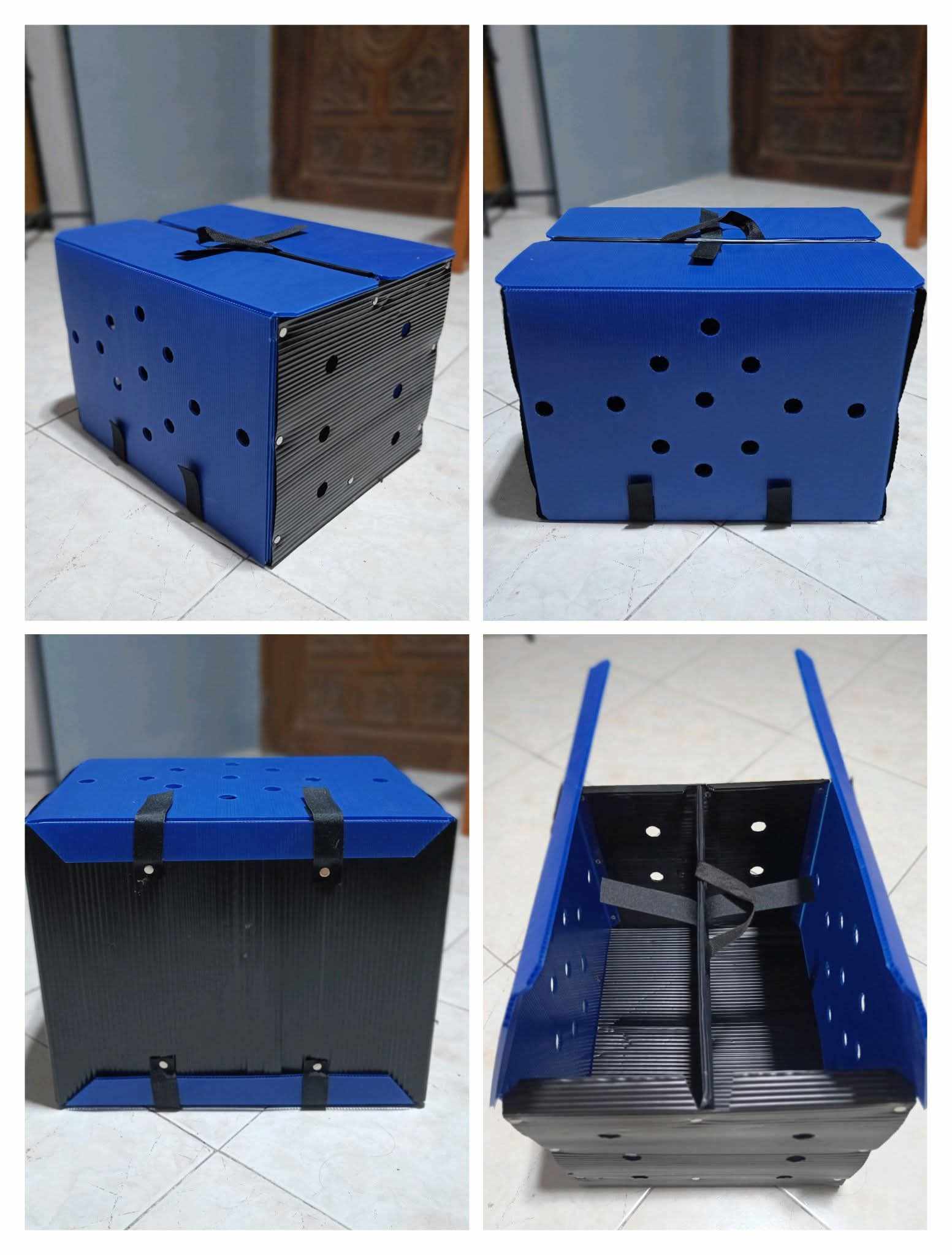 Derby Box Double Plastic Collapsible for Gamefowl | Shopee Philippines
