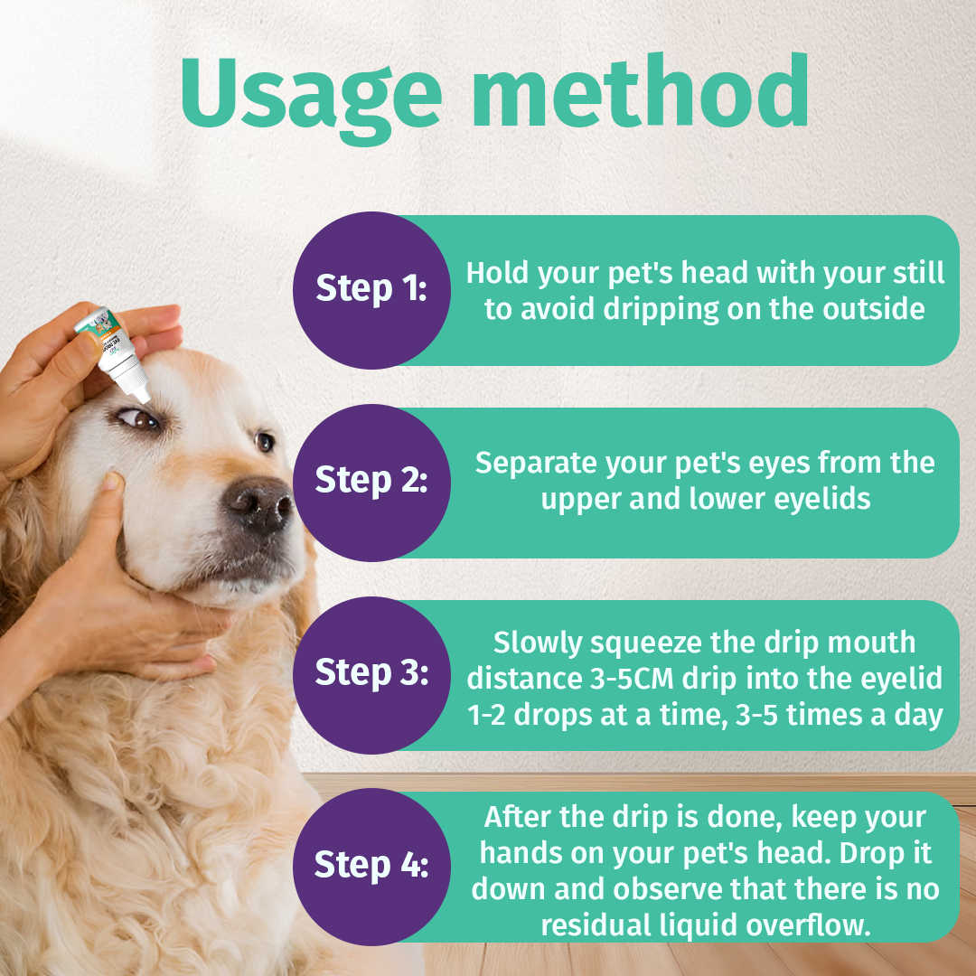 Hegen Pet Neomycin Sulfate Eye Drops For Infection Cloudy Eyes Tear ...