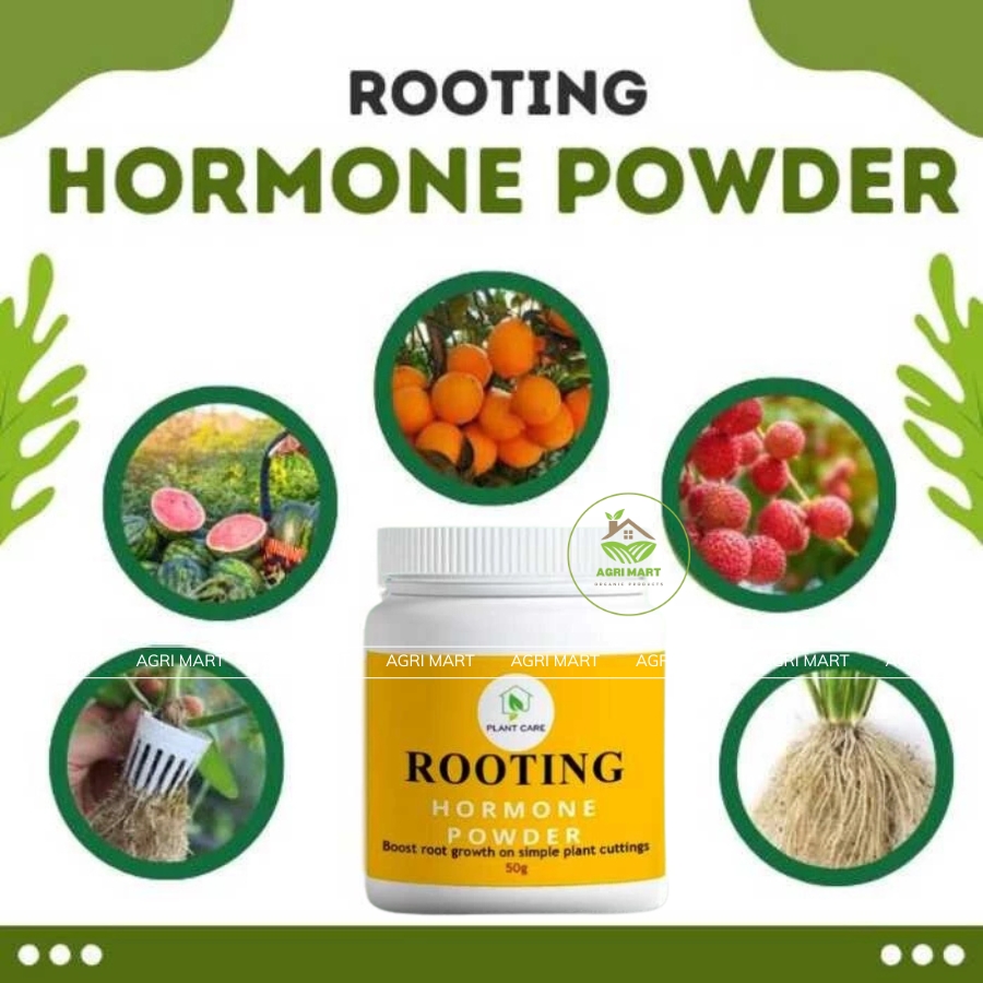 Premium Rooting Hormone 50G - Rooting Powder For Fast Plant Growth ...