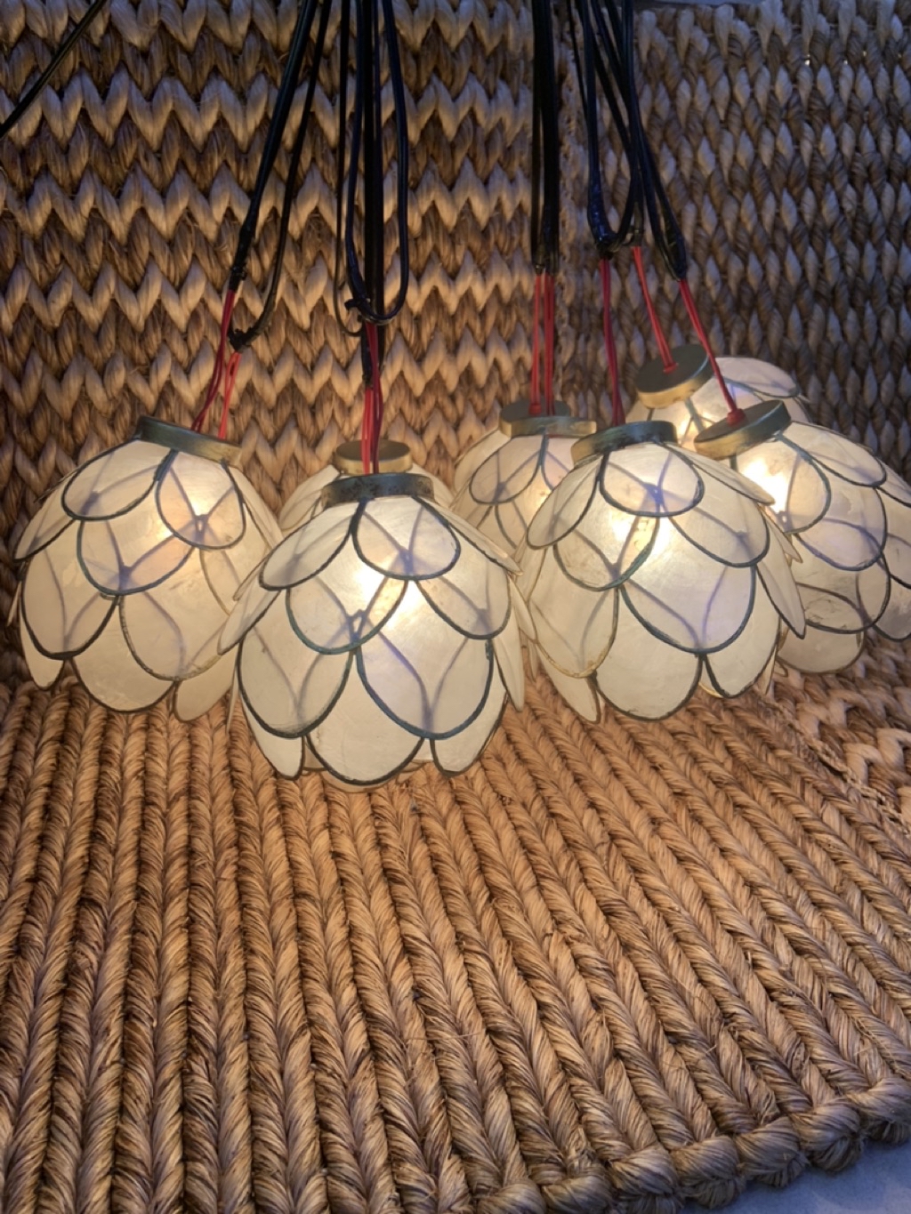 Cabbage Capiz lights set of 10 pcs fore INDOOR & OUTDOOR WITH COMPLETE ...