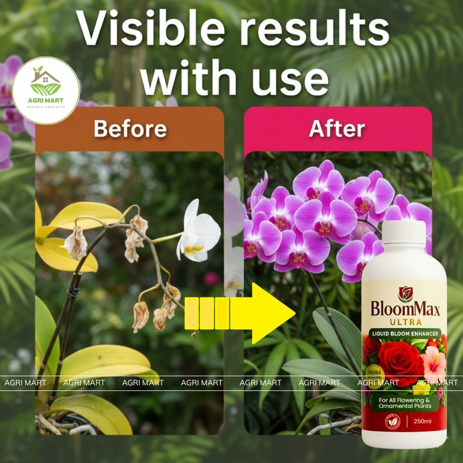 Bloom Max Ultra 250ml – Fast Flowering Solution for Orchids and ...