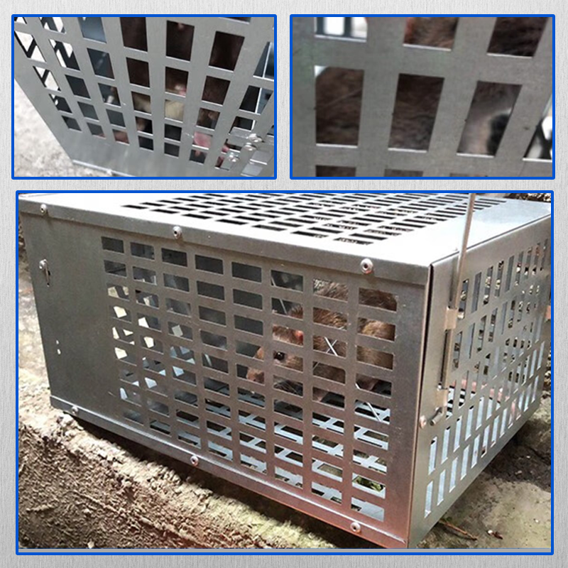 Mouse Rats for Big Rats Double door Live Trap Cage Strong Catch Bait ...