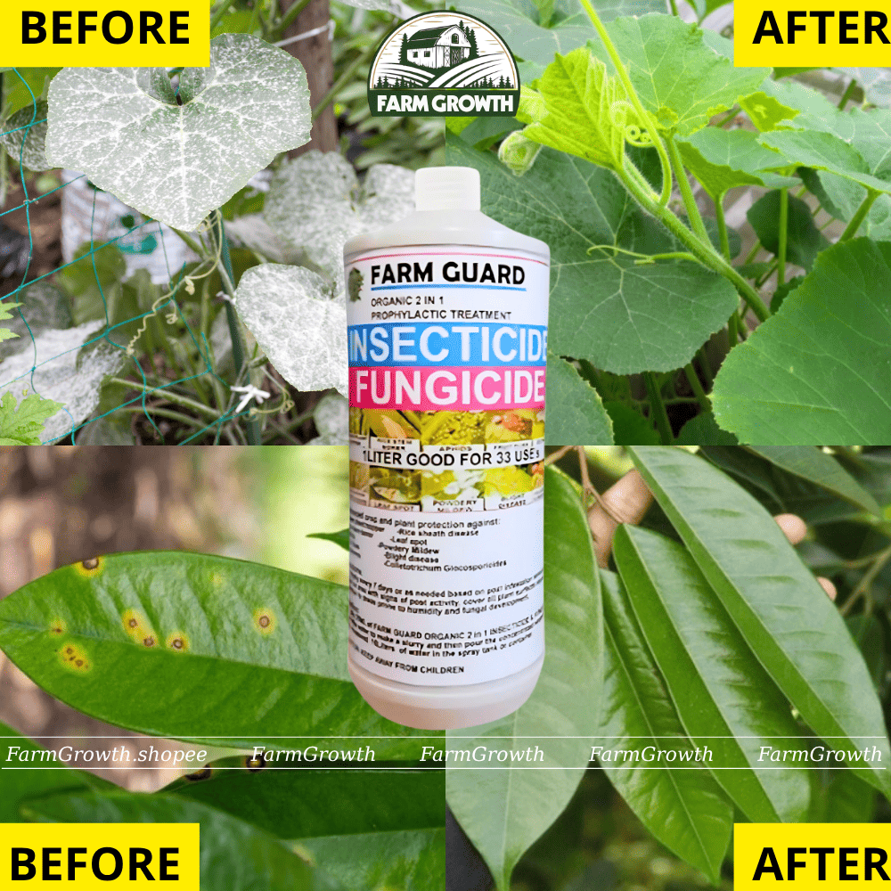 [SAFEST FOR CROPS] FARM GUARD 2-IN1 - Organic insecticide & fungicide ...