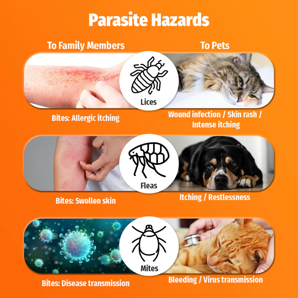 Curated visual reference: Visual Reference: Wassupet 100Ml Tick Flea Killer Spray Mites Killer Spray For