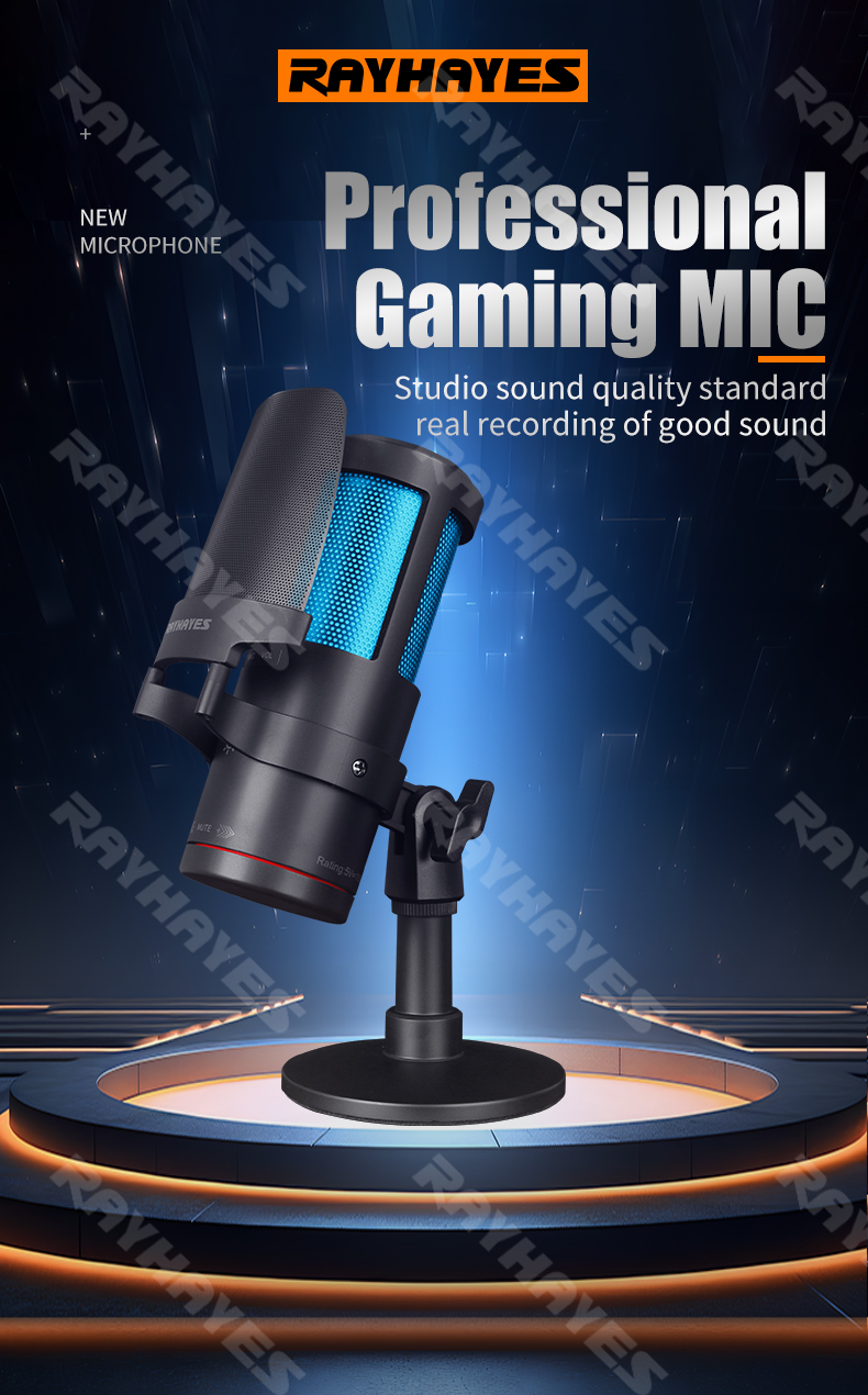 RAYHAYES USB Condenser Microphone RGB Gaming Mic Noise Canceling For ...