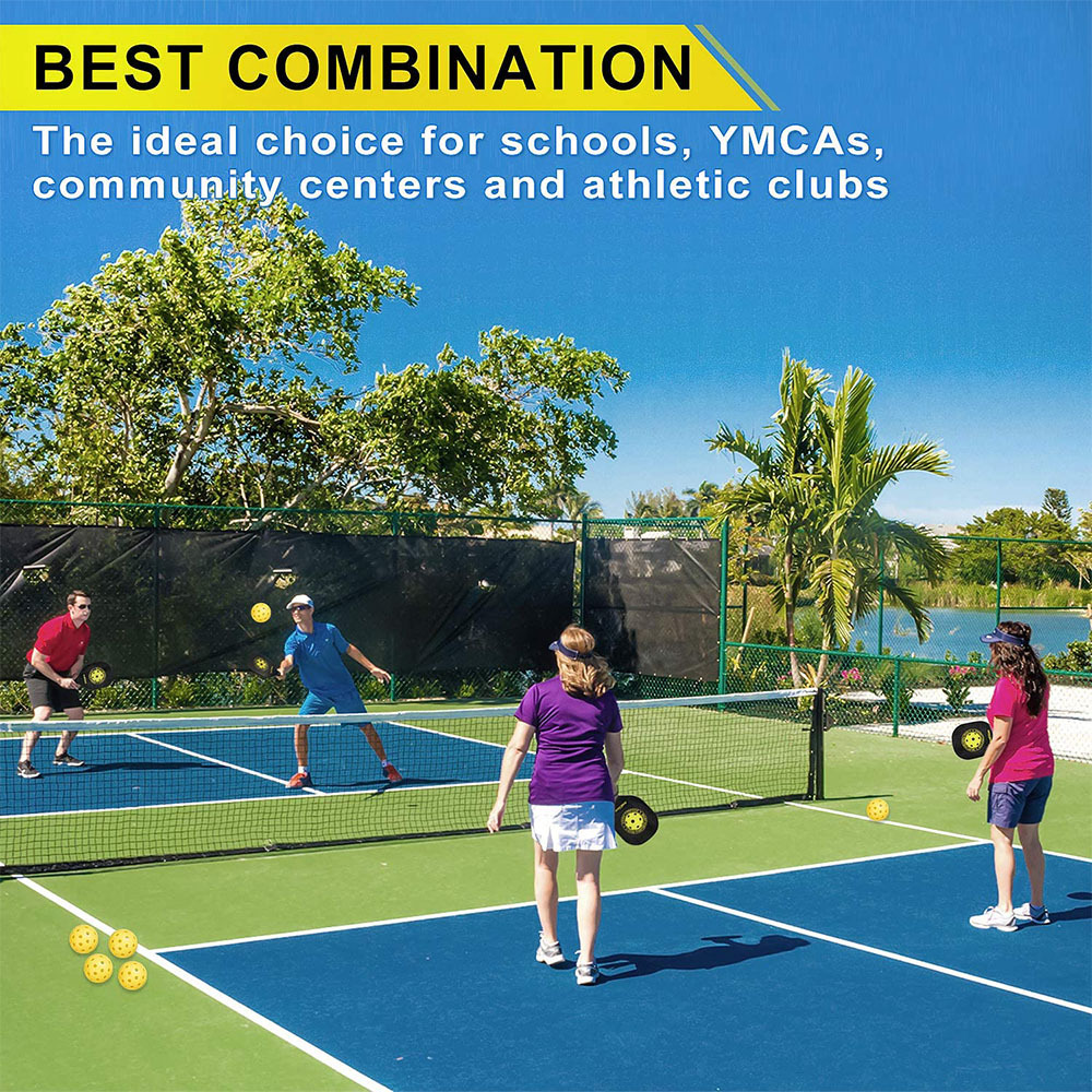 pickleball paddle set of 2 racquets and balls/pathfinder pickle ball ...