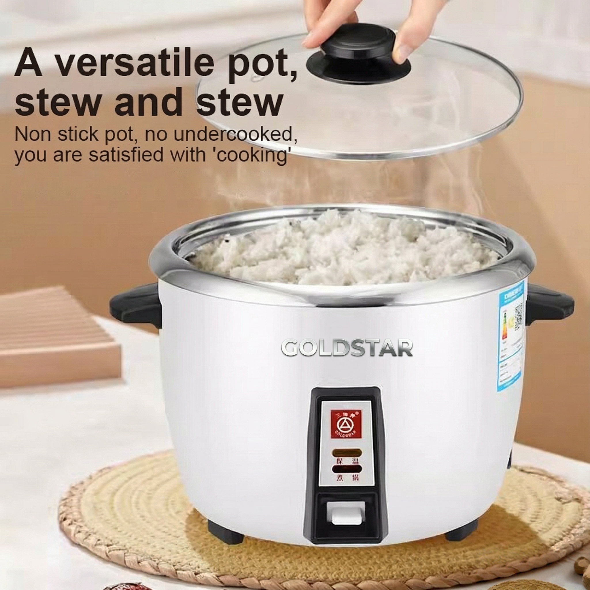 GoldStar 0.6L/1L Rice Cooker Small Multifunction Mini Rice Cooker ...