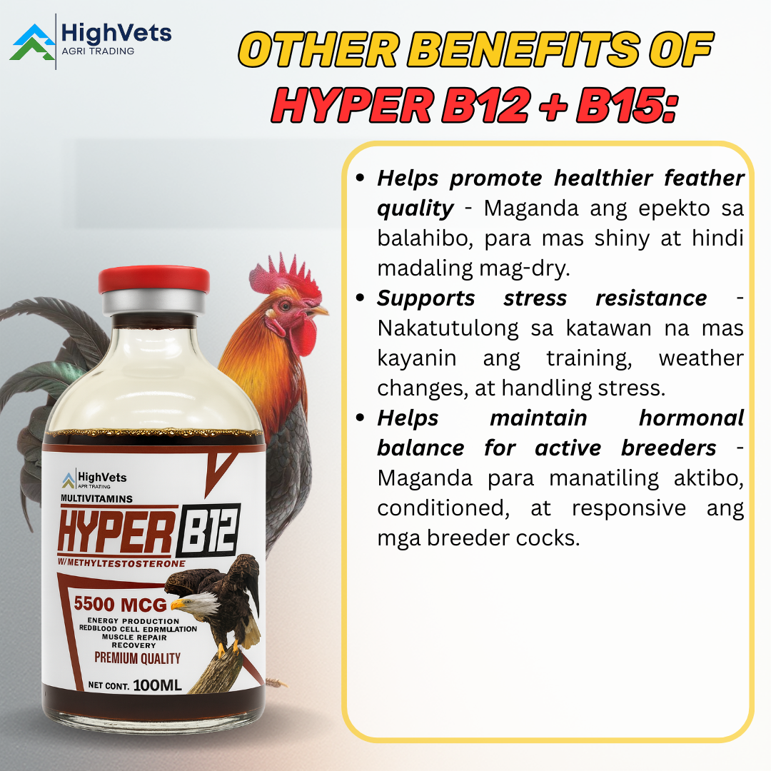HYPER B12 SUPPLEMENT FOR GAMEFOWL AND OTHER ANIMALS | Shopee Philippines