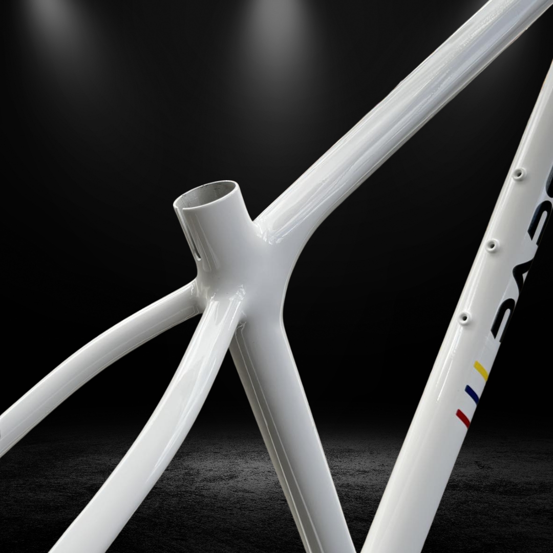 PAPS PRO ALLOY FRAME BOOST THRU AXLE 27.5+/29 1 YEAR WARRANTY for ...