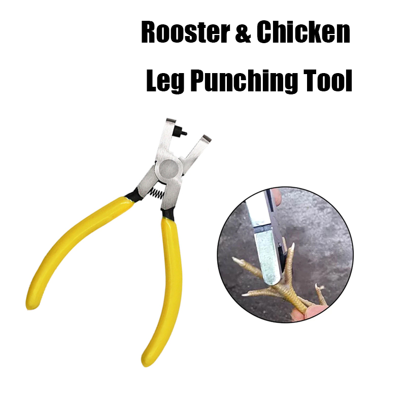 2mm Universal Chick Toe Puncher Gamefowl Breeding Tool for Roosters and ...