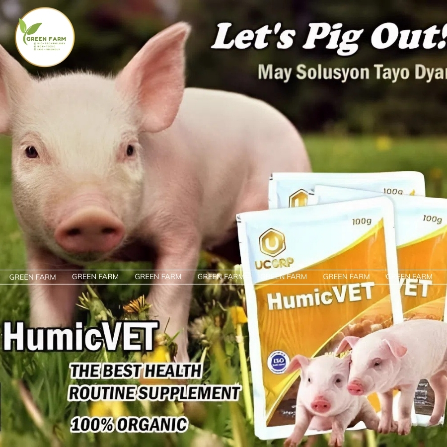 [BUY 1 GET 1] HUMICVET 100G - Organic Suplements for Pig Piggery ...
