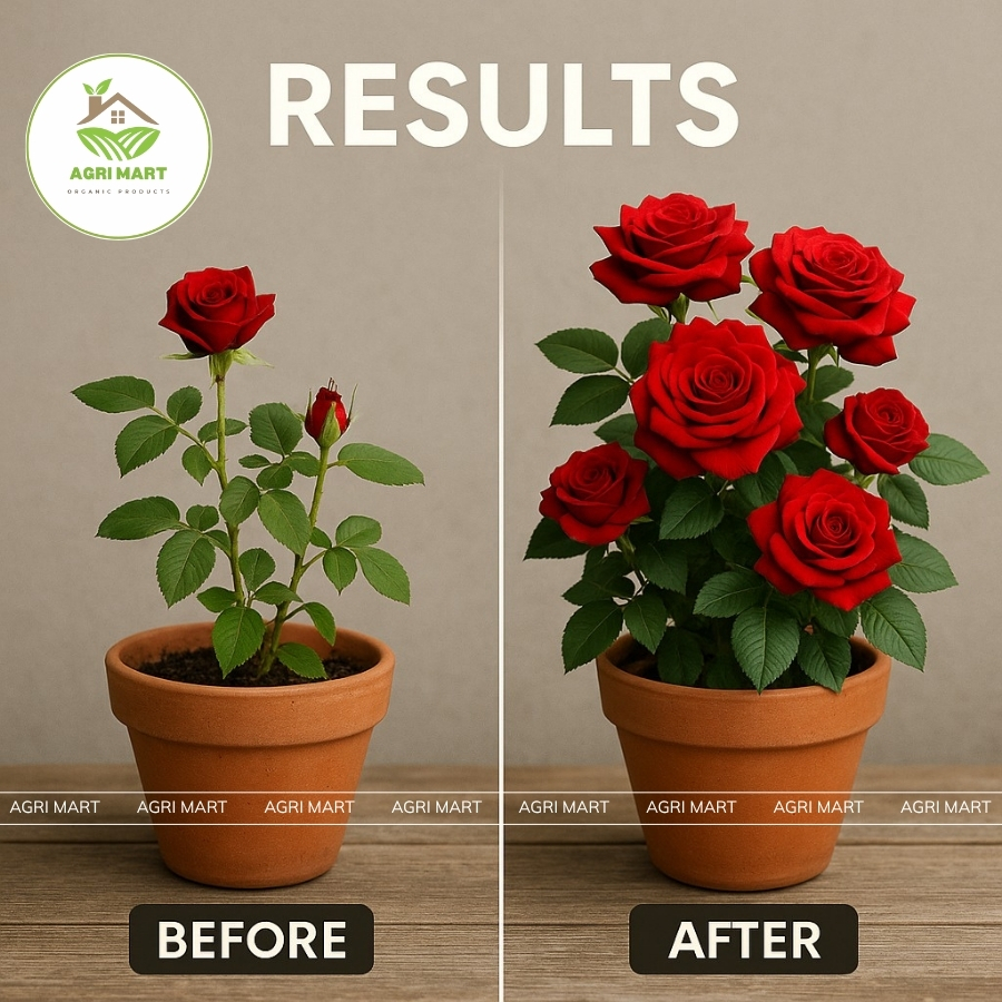 Bloom Max Ultra 250ml – Fast Flowering Solution for Orchids and ...