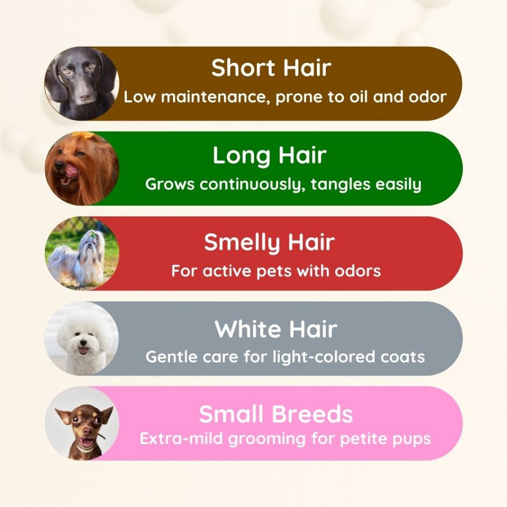 Photo inspiration: Picture Idea: Bearing Tick And Flea Dog Shampoo 150Ml Gentle Pet Grooming