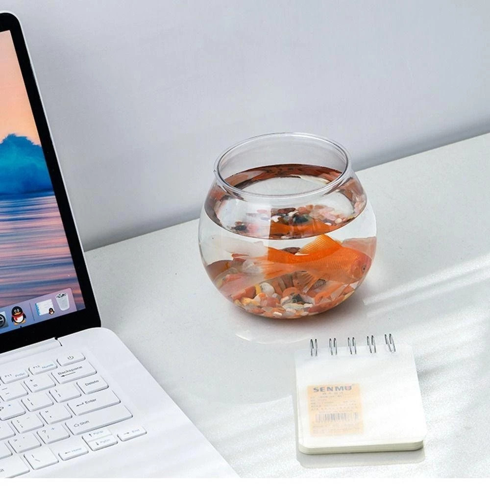 4Pcs Large Clear Plastic Fish Tank Durable Shatterproof Desktop Photo Inspiration