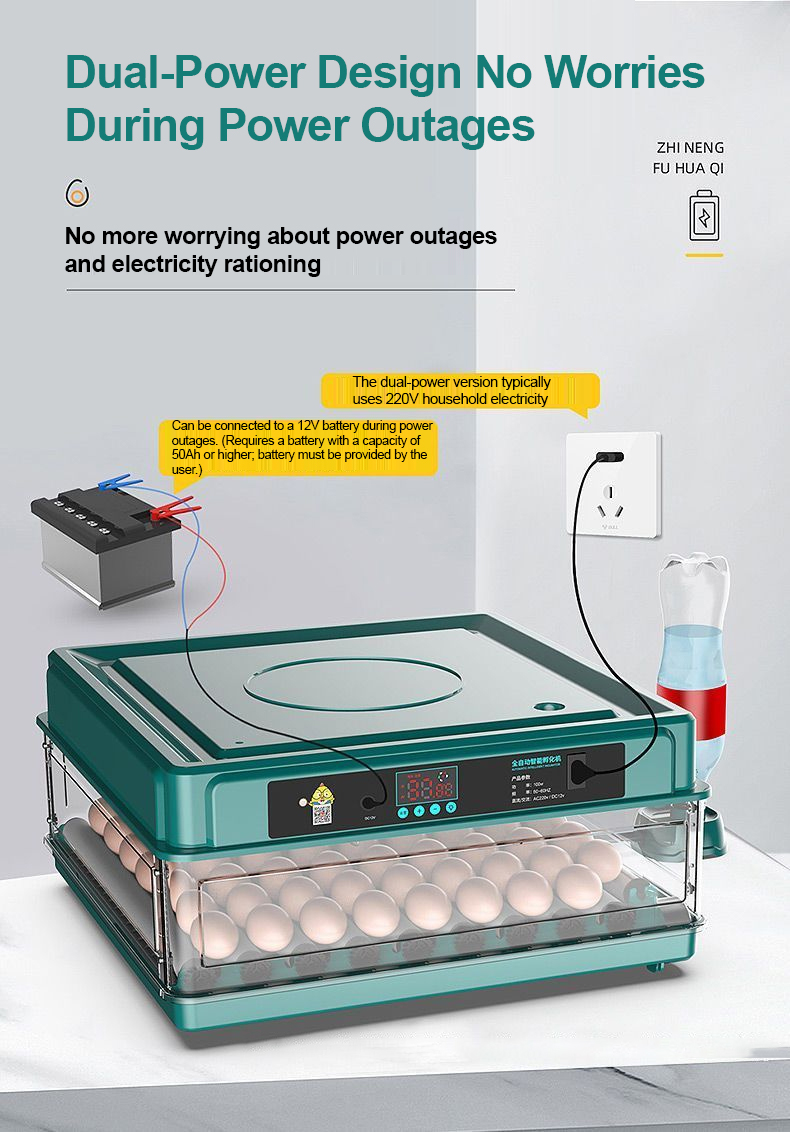 JF Egg Incubator Fully Automatic Egg Incubator Intelligent Digital ...
