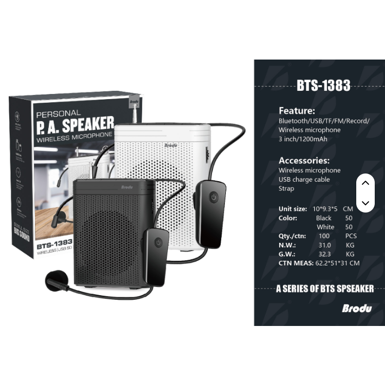 BTS-1383 Professional Wireless Lapel Microphone Rechargeable Noise ...