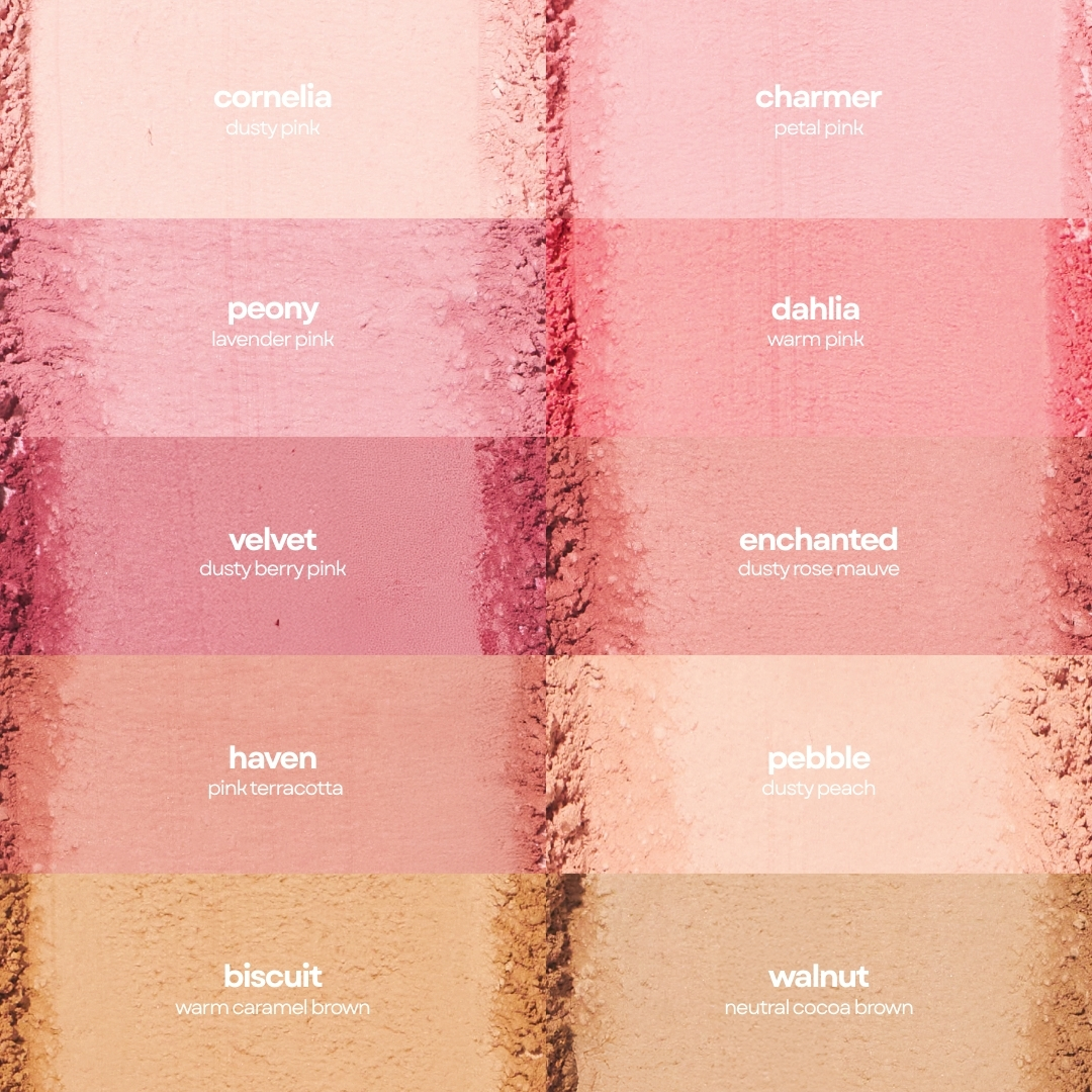 Absidy Soft Cheeks Blurring Powder Blush | Shopee Philippines