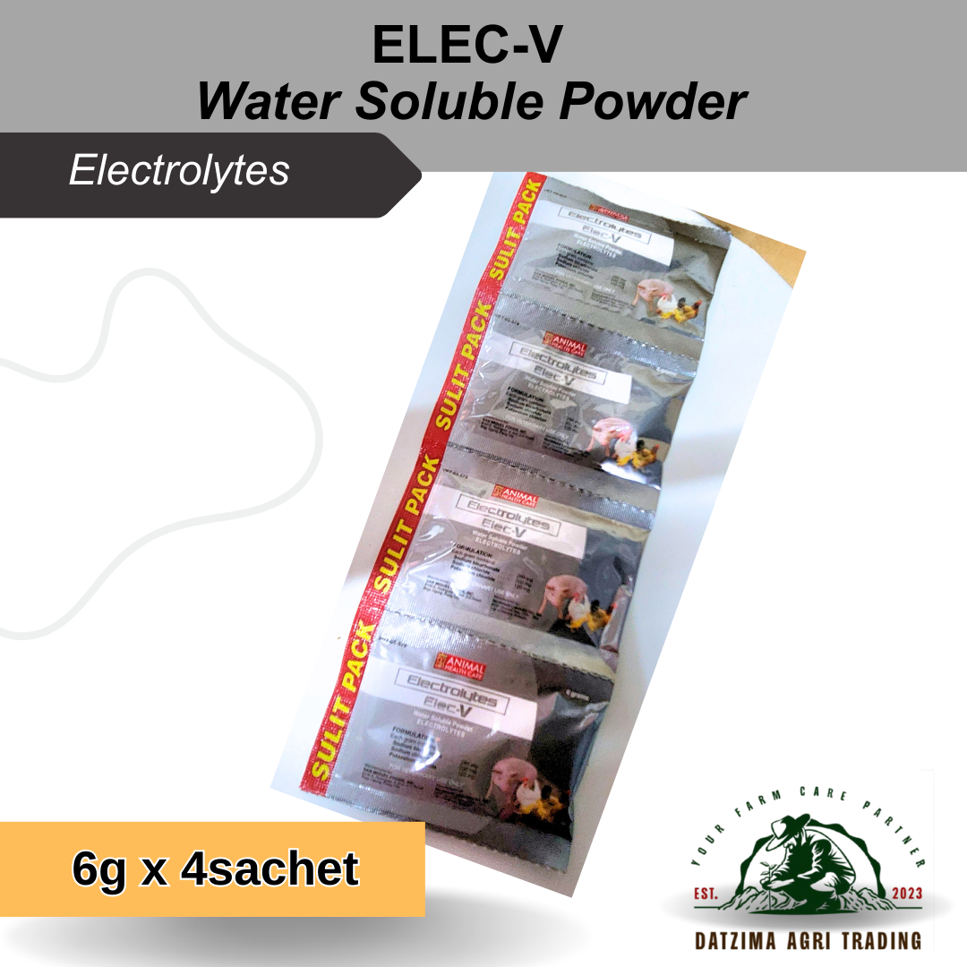 ELEC-V Electrolytes Water Soluble Powder 1box (6g x 4Sachets) | Shopee ...