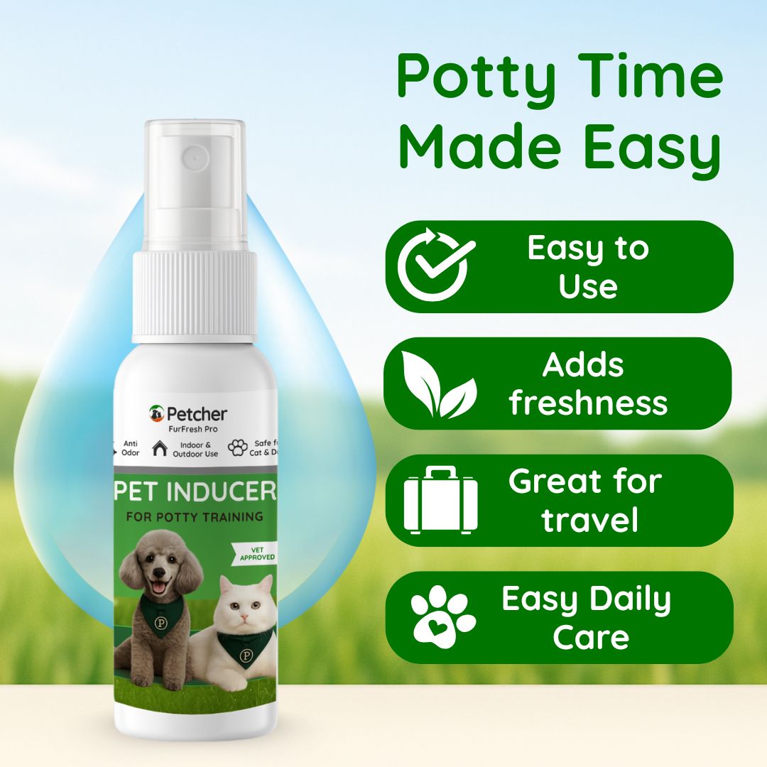 Petcher Potty Trainer Dog Spray 50ml Pet Inducer Potty Training Spray ...