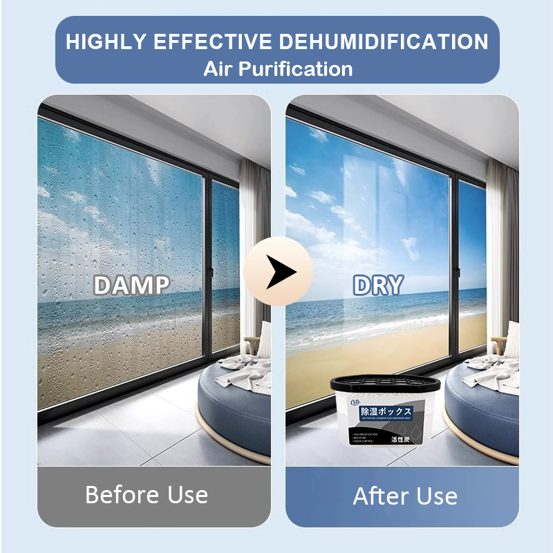 COTO Pro Disposable Dehumidifier Box 6-12 PCS Anti DAMP Dry Box for ...