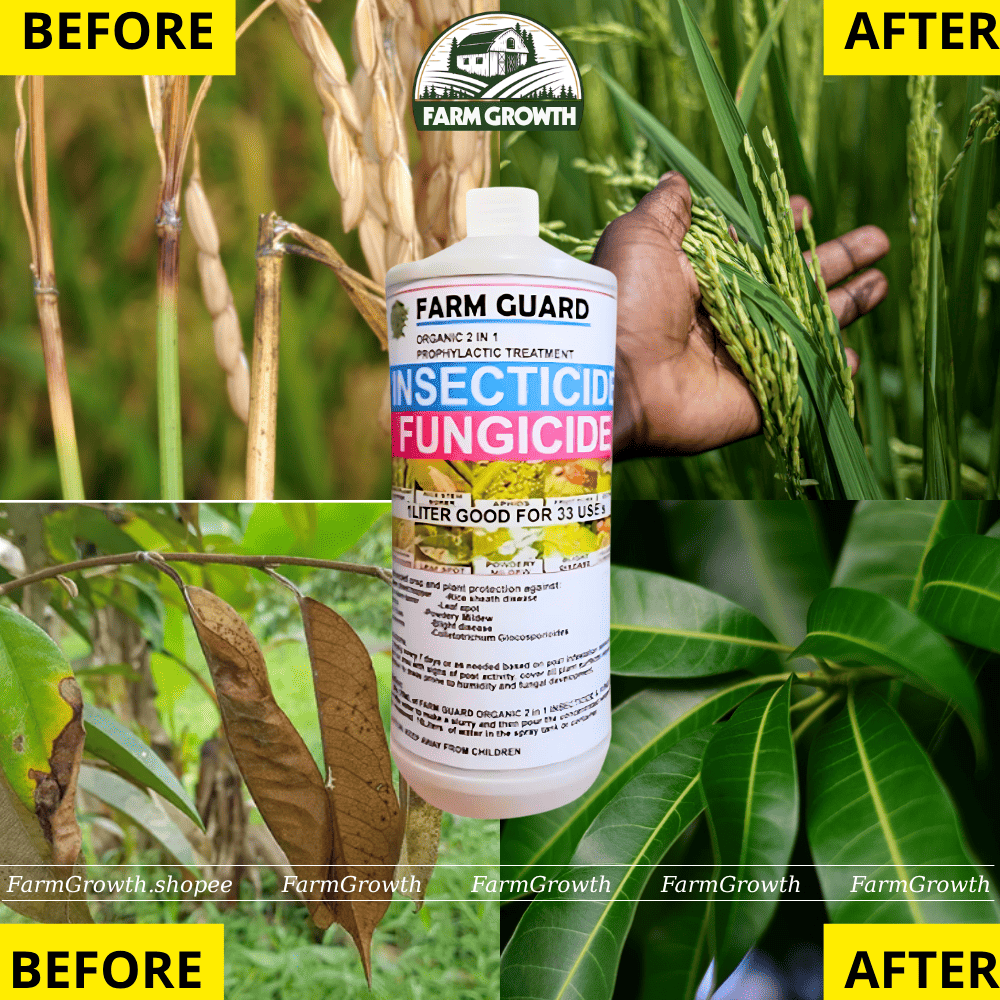 [SAFEST FOR CROPS] FARM GUARD 2-IN1 - Organic insecticide & fungicide ...