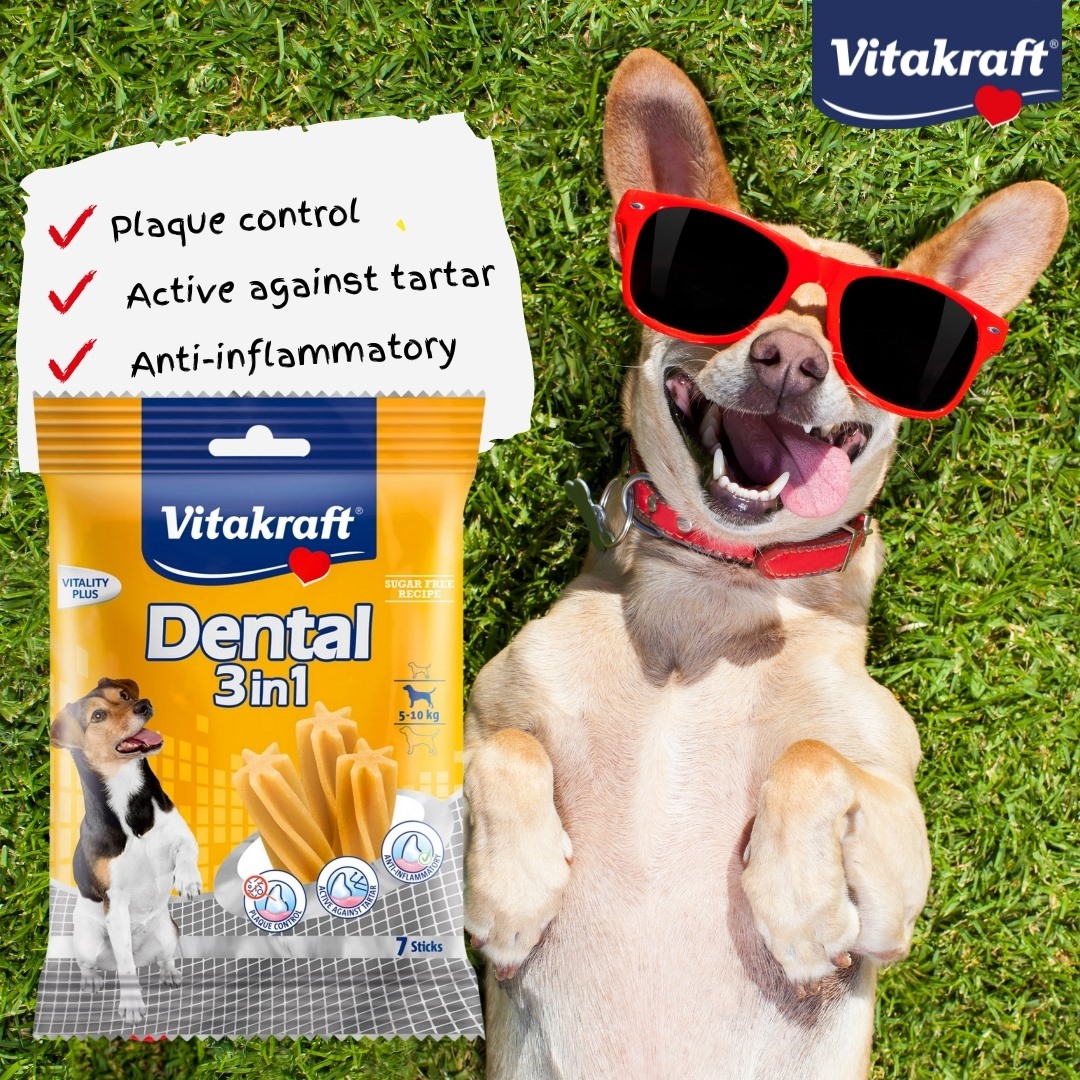 Vitakraft Dog Dental Sticks 3in1 (plaque control, active againts tartar ...
