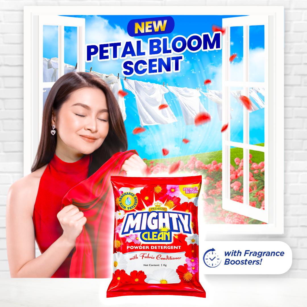 2 KILOS Mighty Clean Premium Detergent Powder Detergent 1 KG x 2 PCS ...