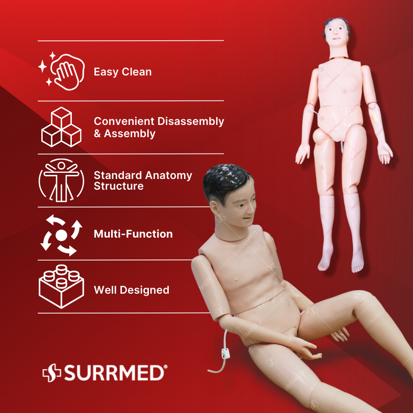 SURRMED Basic Nursing Mannequin | Full-Body Medical Training Model for ...