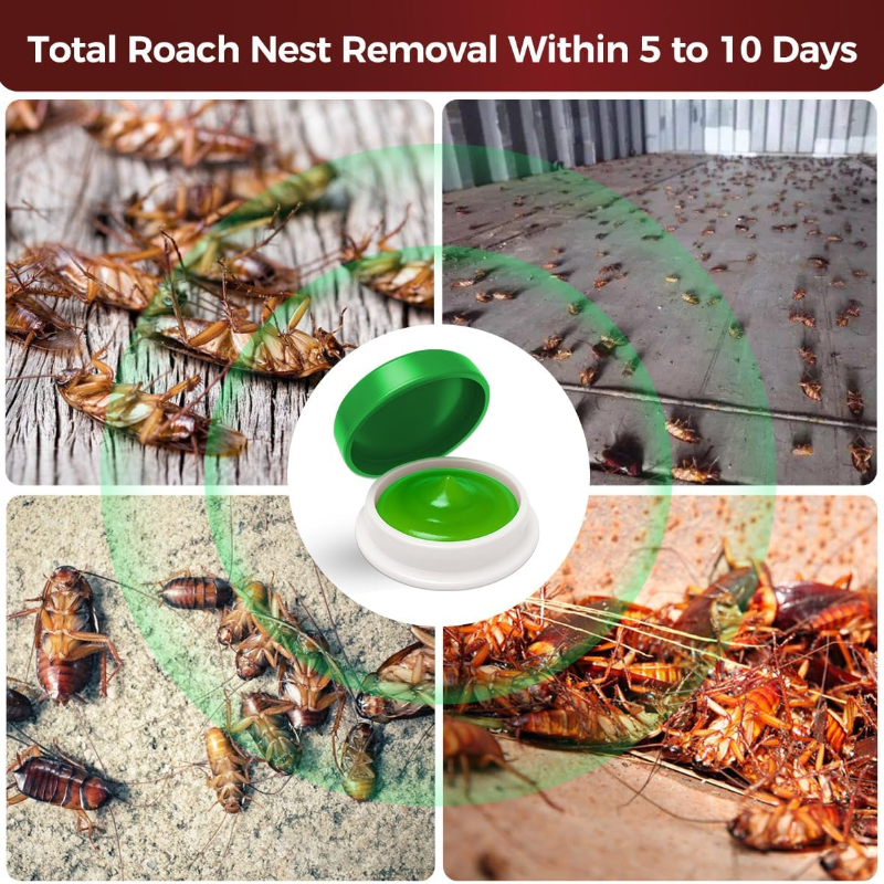 8 Capsules Cockroach Killer Household Cockroach Medicine Kitchen Kill ...