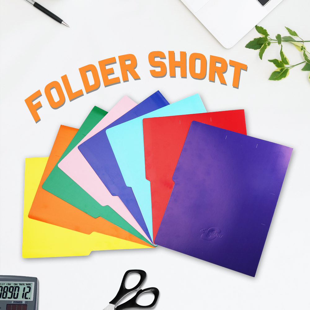 FCI COLORED FOLDER Size Long / Short 8 Colors 11 Points Files and ...