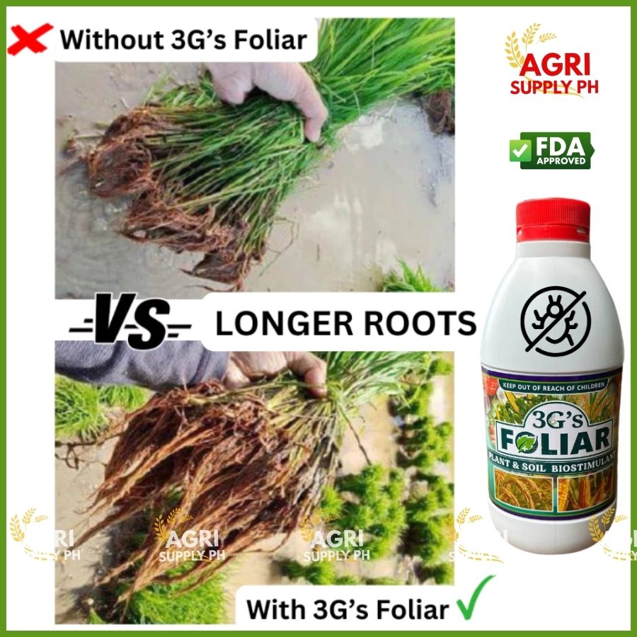 3GS FOLIAR 1000ml – Easy Foliar Spray for Healthy Roots, Beautiful ...