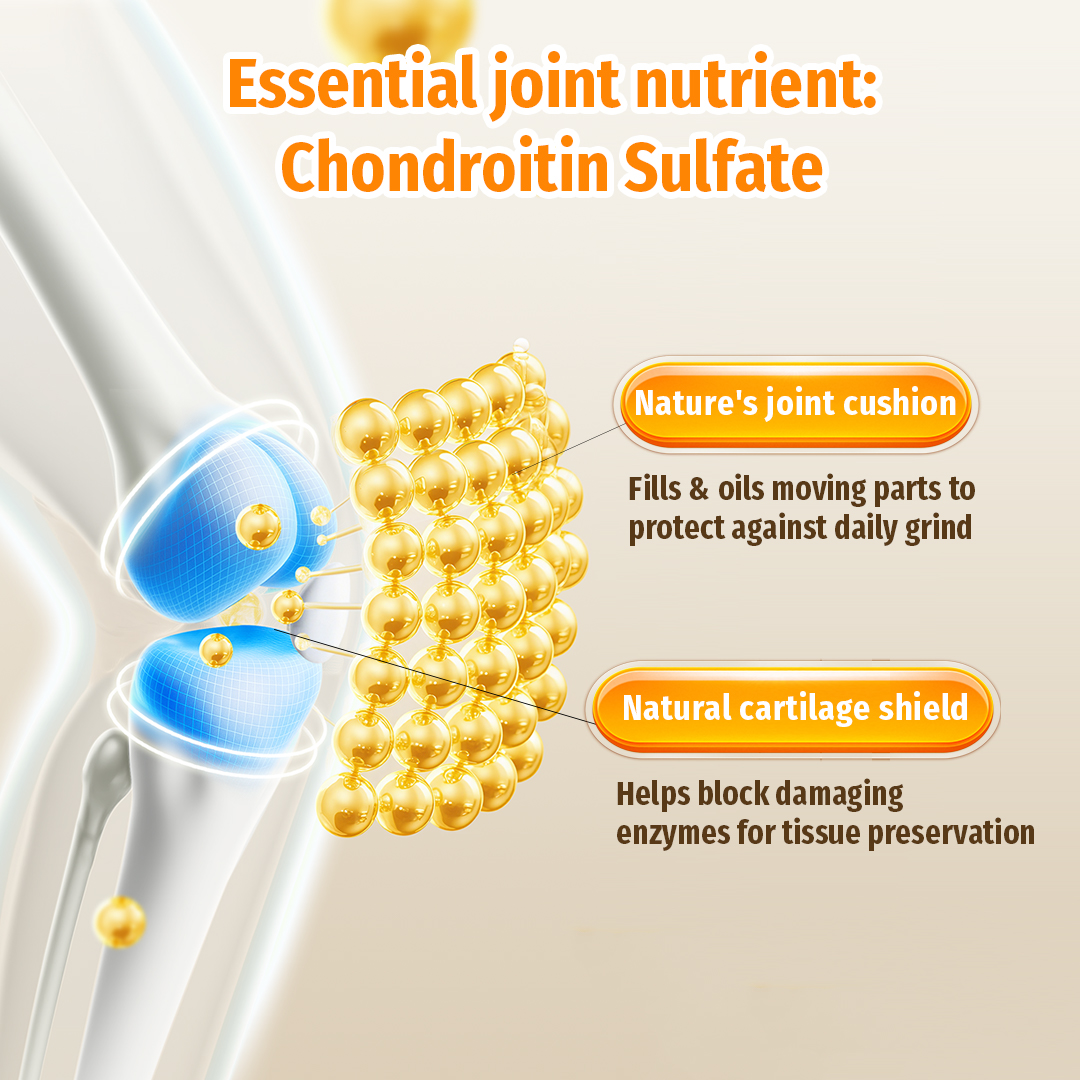 Photo inspiration: Picture Idea: Cassiel Pet Chondroitin Chews With Essential Nutrients For Joint And