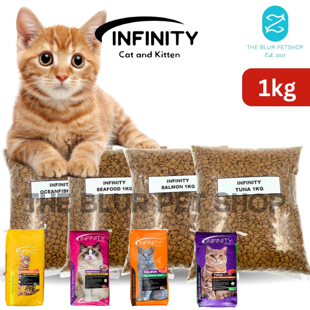 1kg 500g Infinity Salmon Infinity Ocean Fish All Stages Adult Kitten ...