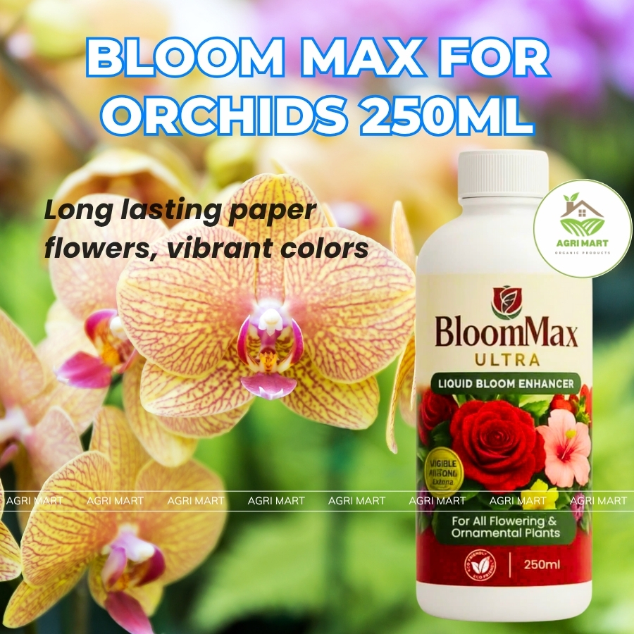 Bloom Max Ultra 250ml – Fast Flowering Solution for Orchids and ...